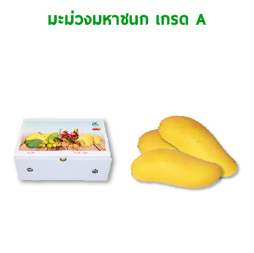 test test